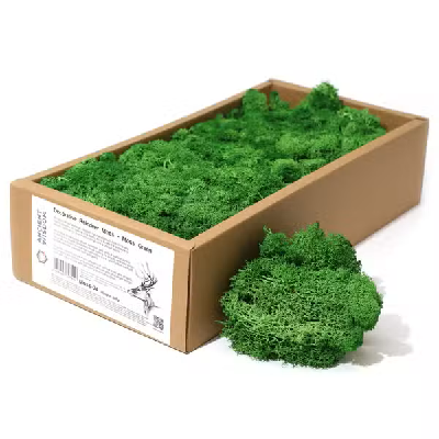 Decorative Reindeer Moss